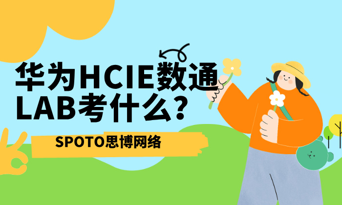 华为HCIE数通LAB考什么？一文读懂数通LAB的题型结构