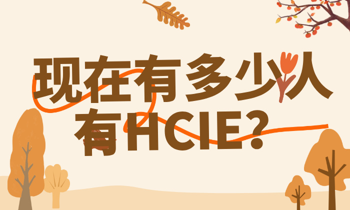 现在有多少人有HCIE？一文看懂持证人数、通过率与真实含金量